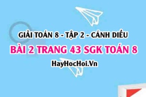 Bài 2 trang 43 Toán 8 Tập 2 Cánh Diều: Tìm Lỗi Sai Phương Trình